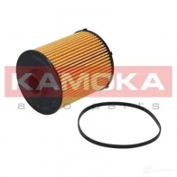 Топливный фильтр KAMOKA 4NVY F f304901 1660777 - Изображение 4
