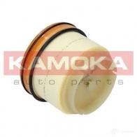 Топливный фильтр KAMOKA 1660781 f305301 IK 3RXR7 - Изображение 2
