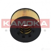 Масляный фильтр KAMOKA 1660250 f103001 335 YMJ - Изображение 9