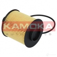 Масляный фильтр KAMOKA AA 3KLA f111801 1660333 - Изображение 9