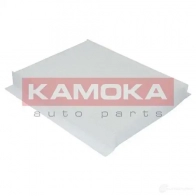 Салонный фильтр KAMOKA 1660973 RU6 21P f408301