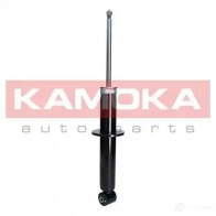 Амортизатор KAMOKA 20300076 IWV1O C3 1654775 - Изображение 4