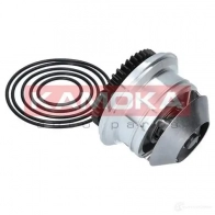 Водяной насос, помпа KAMOKA 1218705387 K YWQZ t0273 - Изображение 3