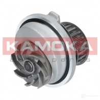Водяной насос, помпа KAMOKA t0107 1218703349 C T9NM