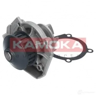 Водяной насос, помпа KAMOKA 1218703455 t0117 P8C F1
