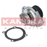 Водяной насос, помпа KAMOKA 1218703455 t0117 P8C F1 - Изображение 3