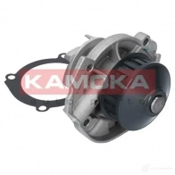 Водяной насос, помпа KAMOKA 1218703455 t0117 P8C F1 - Изображение 4