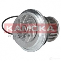 Водяной насос, помпа KAMOKA t0228 V E2X8E 1218704795