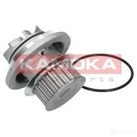 Водяной насос, помпа KAMOKA t0228 V E2X8E 1218704795 - Изображение 2