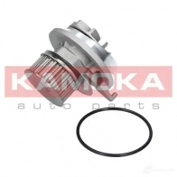Водяной насос, помпа KAMOKA t0228 V E2X8E 1218704795 - Изображение 3