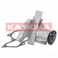 Водяной насос, помпа KAMOKA 1218703691 3L 6H0 t0134 - Изображение 2
