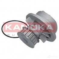 Водяной насос, помпа KAMOKA L8U 1TZ t0235 1218704915 - Изображение 4