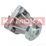 Водяной насос, помпа KAMOKA RBF YL t0237 1218704941 - Изображение 3