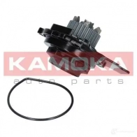Водяной насос, помпа KAMOKA U PMS5 1218701931 t0031 - Изображение 2