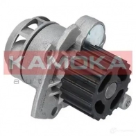 Водяной насос, помпа KAMOKA 1218705151 BT1 R1F t0253 - Изображение 1