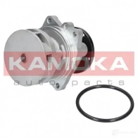 Водяной насос, помпа KAMOKA 1218702529 t0059 BM X0Q4J - Изображение 5