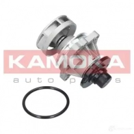 Водяной насос, помпа KAMOKA 1218702529 t0059 BM X0Q4J - Изображение 6