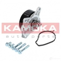 Водяной насос, помпа KAMOKA t0088 1218703029 YR2 2EQ9 - Изображение 6