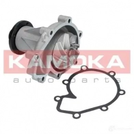 Водяной насос, помпа KAMOKA t0185 1218704333 PLTH T