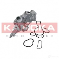 Водяной насос, помпа KAMOKA 1218704719 t0225 M0 PBI - Изображение 4
