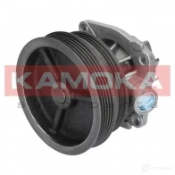 Водяной насос, помпа KAMOKA 1218703431 t0112 DOT1 GI