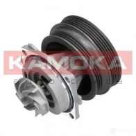 Водяной насос, помпа KAMOKA 1218703431 t0112 DOT1 GI - Изображение 3