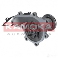 Водяной насос, помпа KAMOKA t0277 R2 0G3 1218705409 - Изображение 3