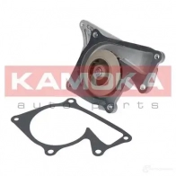 Водяной насос, помпа KAMOKA 1218703247 t0101 T 79UCE - Изображение 2