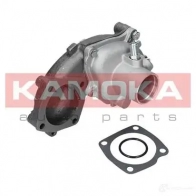 Водяной насос, помпа KAMOKA t0125 1218703551 95CCN MF