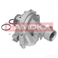 Водяной насос, помпа KAMOKA 1218703067 t0090 TA9 RBE - Изображение 3