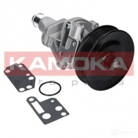 Водяной насос, помпа KAMOKA ASI9 E 1218703901 t0142 - Изображение 2