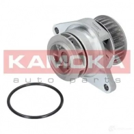 Водяной насос, помпа KAMOKA 2WRZ WNO t0249 1218705087 - Изображение 2