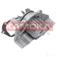 Водяной насос, помпа KAMOKA 0LX NZG t0095 1218703185 - Изображение 3