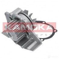 Водяной насос, помпа KAMOKA 0LX NZG t0095 1218703185 - Изображение 4