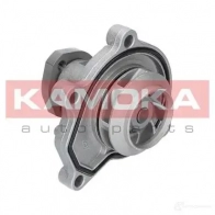 Водяной насос, помпа KAMOKA 1218705135 ZHZ C0S t0252 - Изображение 6