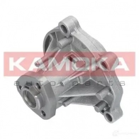 Водяной насос, помпа KAMOKA 1218705135 ZHZ C0S t0252 - Изображение 9