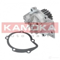 Водяной насос, помпа KAMOKA 1218702969 E ZYZ4 t0086 - Изображение 2