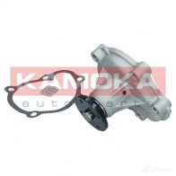 Водяной насос, помпа KAMOKA 1218704819 N0FYT 1 t0230 - Изображение 3