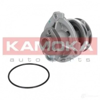 Водяной насос, помпа KAMOKA PGDE 8 1218704893 t0234 - Изображение 2