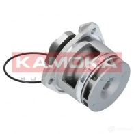 Водяной насос, помпа KAMOKA PGDE 8 1218704893 t0234 - Изображение 3