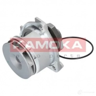 Водяной насос, помпа KAMOKA PGDE 8 1218704893 t0234 - Изображение 4