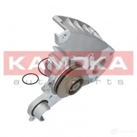Водяной насос, помпа KAMOKA 1218703493 T CEDBM t0119 - Изображение 3