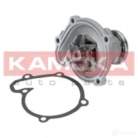 Водяной насос, помпа KAMOKA AQ8 NVE t0218 1218704605