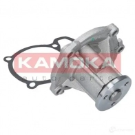 Водяной насос, помпа KAMOKA AQ8 NVE t0218 1218704605 - Изображение 2