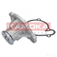 Водяной насос, помпа KAMOKA AQ8 NVE t0218 1218704605 - Изображение 3