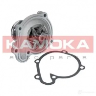 Водяной насос, помпа KAMOKA AQ8 NVE t0218 1218704605 - Изображение 4