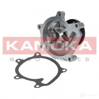 Водяной насос, помпа KAMOKA t0269 MW2DY0 D 1218705349 - Изображение 2