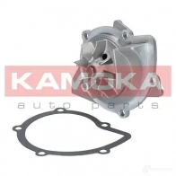 Водяной насос, помпа KAMOKA t0091 1218703101 R6E ZC - Изображение 2