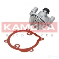 Водяной насос, помпа KAMOKA 1218704573 t0216 QZ 73GF - Изображение 2