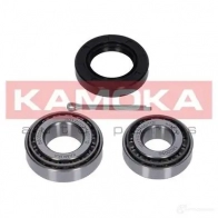 Подшипник ступицы колеса, комплект KAMOKA N4LN GA 5600090 1656960 - Изображение 3